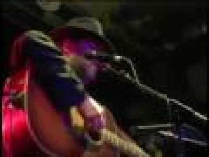 Arlo Guthrie - Train Tour Story